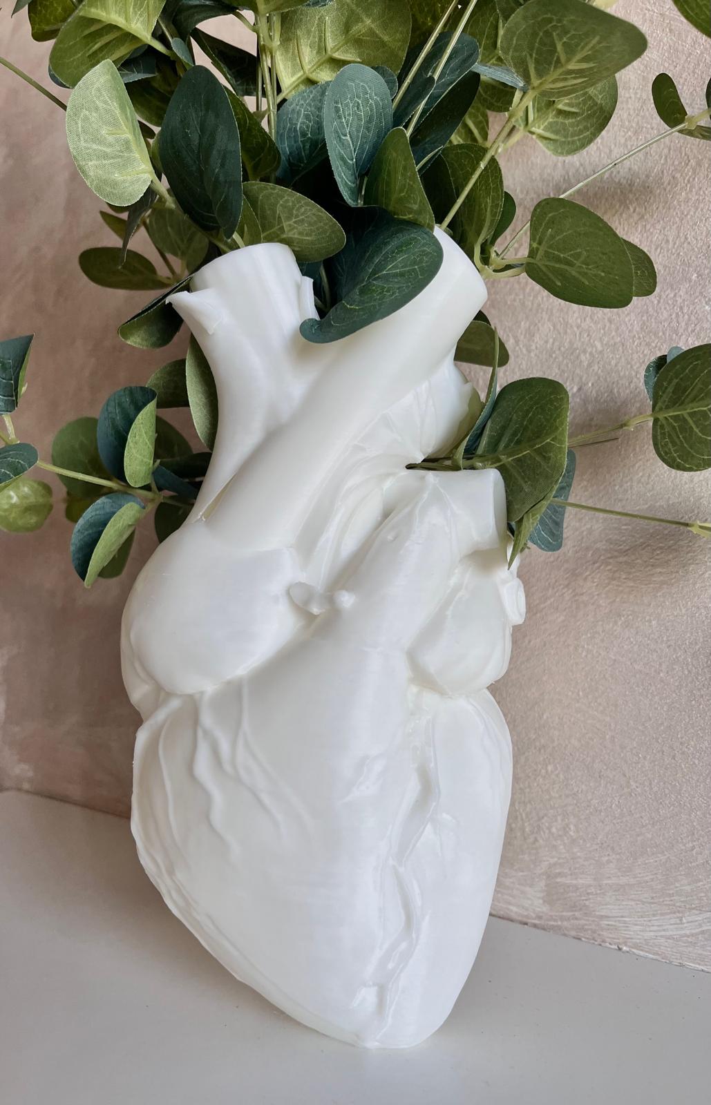 Vaso Anatomico a Forma di Cuore