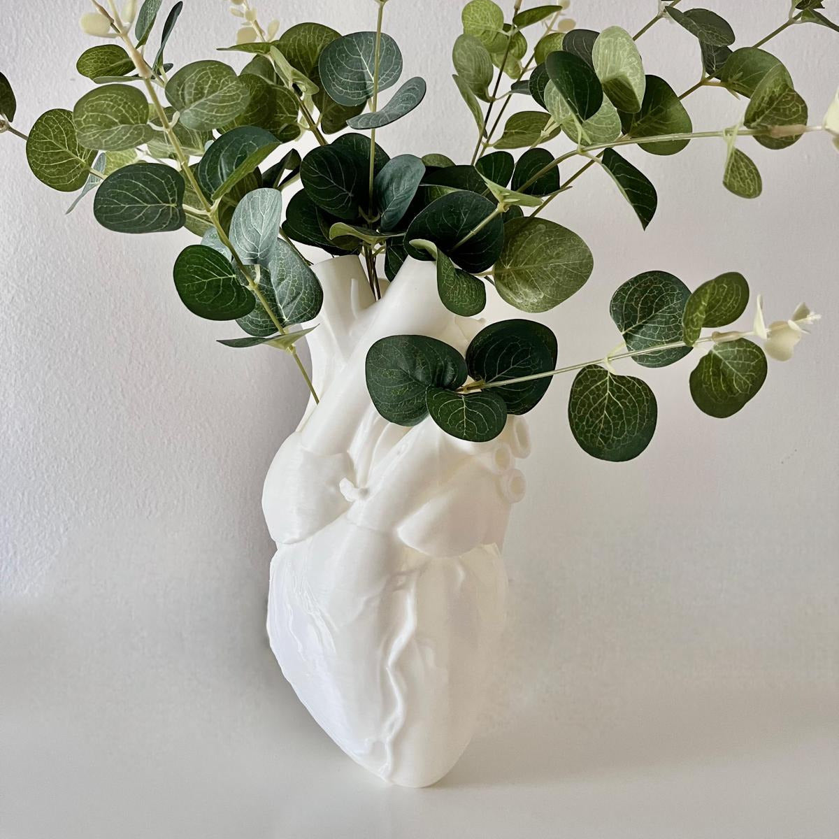 Vaso Anatomico “Cuore”